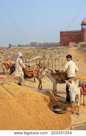 Fatehpur Sikri, India-january 30: Unidentified Men Stand With Donkeys Outside Jama Masjid On January