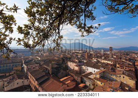 Lucca from Guinigi Tower. Italian landmark. Aerial view of Lucca.