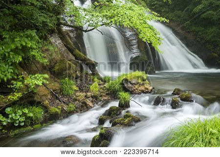 Brook flowing from Meisui waterfall and fresh green tree in Oita