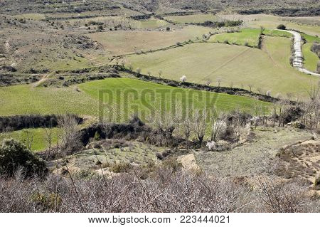 Fields of cereals seen from the top of the hill