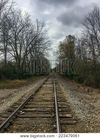 Railroad tracks through trees on a stormy day
