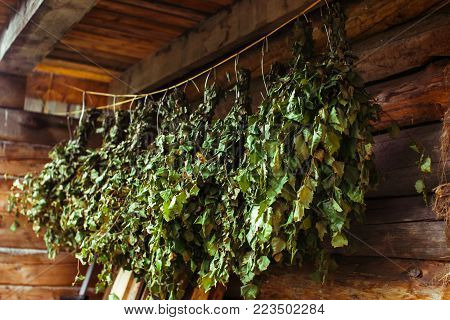 Birch brooms on a wooden wall in russain bath Hanging Bath brooms.