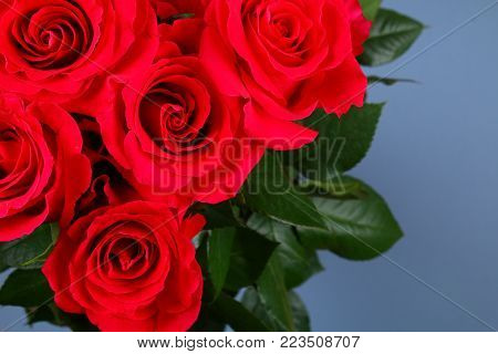 Pink roses on a gray background, on pastel paper. Copy space for text. Template for March 8, Mother's Day