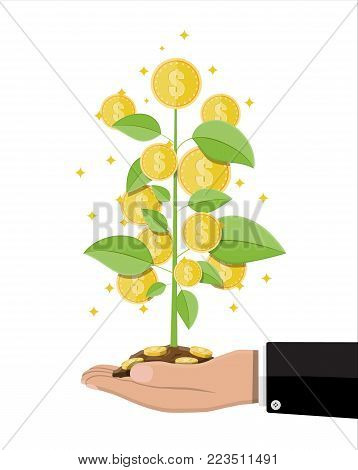Money coin tree in hand of businessman. Growing money tree. Investment, investing. Gold coins on branches. Symbol of wealth. Business success. Flat style vector illustration.