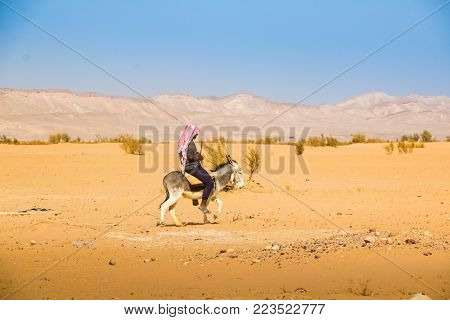 Agadir, Jordan - December 22, 2017: Arab man riding a donkey