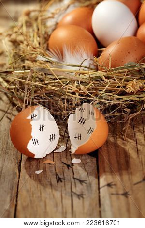 Concept of an escaped young chicken.Chicken eggs in the nest. On wooden rustic background.Selective focus