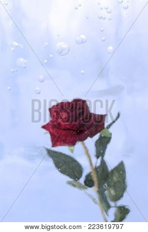 red rose, frozen in a cloudy ice with bubbles, closeup