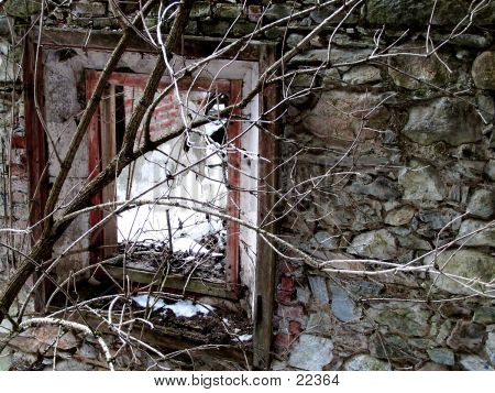 Pomeriggio nel bosco IV