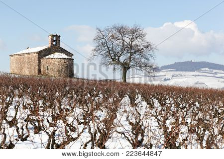 Landscape with the chapel Saint-Pierre in Beaujolais and Mont Brouilly during winter season, France