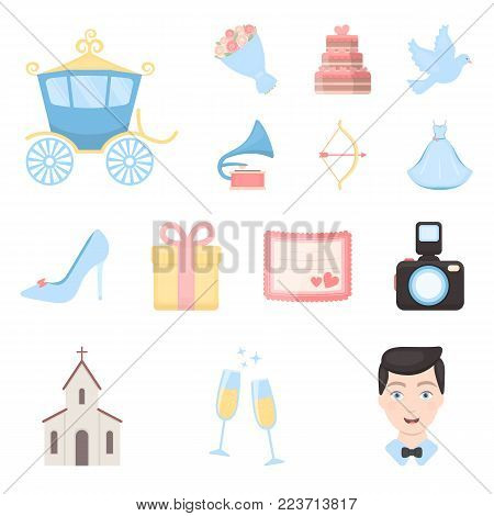 Wedding and Attributes cartoon icons in set collection for design.Newlyweds and Accessories vector symbol stock  illustration.