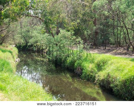 Gardiners Creek park in Burwood in suburban Melbourne, Australia