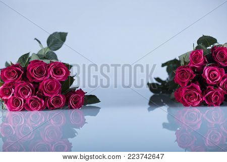 Valentines day concept. Bouquet of roses on white background. Place fort ext.