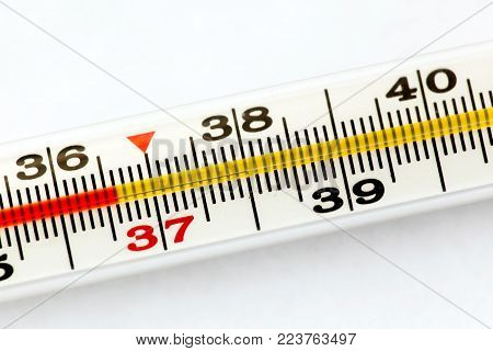 Traditional medicine thermometer for body with normal temperature 36.6 degrees. White background
