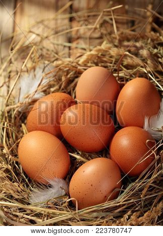 Chicken eggs in the nest. On wooden rustic background.Copy space