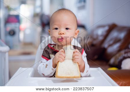 Cute Asian funny little 11 months toddler baby boy child, sitting on high feeding chair at home biting & eating sandwich, bread with butter & cheese, photo in real life interior, self feeding concept