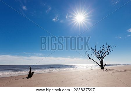 Botany Bay beach, Edisto Island, South Carolina, USA