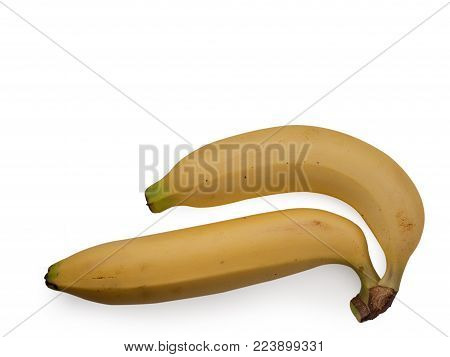 Cavendish banana (Kluai Hom thong) Banana famous in Thailand.(clipping path)