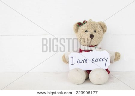 i am sorry message card with teddy bear on background white