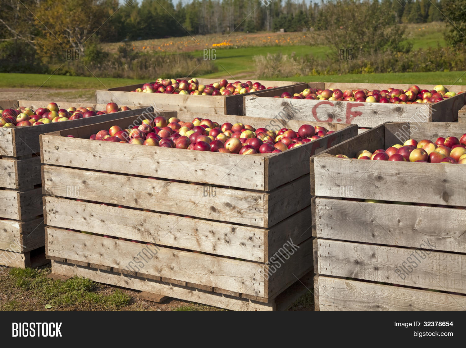 Контейнер ibox 1200*800*800. Яблоки в коробке. Деревянные ящики с яблоками большие. Ящик для овощей деревянный. Контейнер большой для яблок.