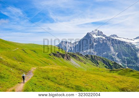 Hiker In The Swiss Alps Walking With Hiking Poles. Famous Mountains Jungfrau, Eiger, And Monch In Th