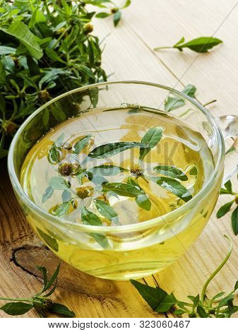 Cup Of Bidens Herb Tea On Wood. Shallow Dof.