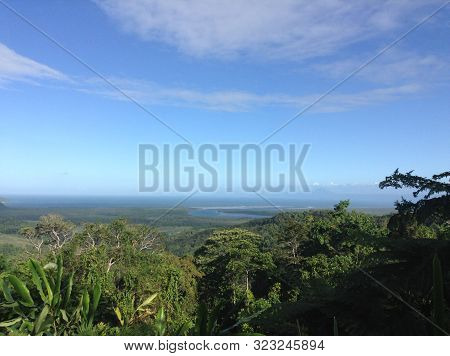 A View Of An Estuarine In A Tropical Rainforest
