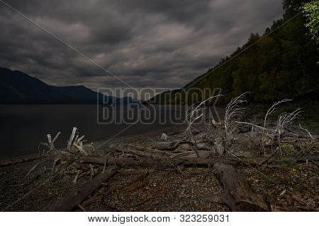 Russia. South Of Western Siberia, Altai Mountains. Altai State Natural Biosphere Reserve, Bele Cordo