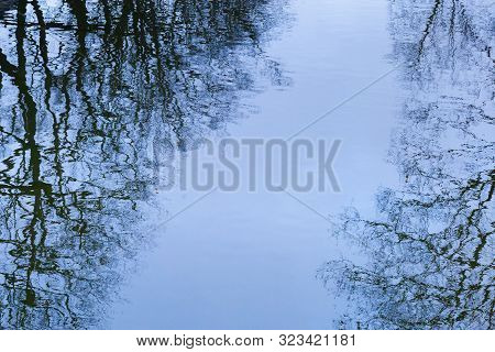 Reflection Of Tree Branches On Surface Of Water.  Abstract Natural Background. Blurred Outlines, Aut