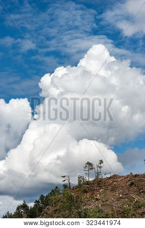 Trees Fallen From The Wind In November 2018, Baselga Di Pine. Natural Disaster In Trentino Alto Adig