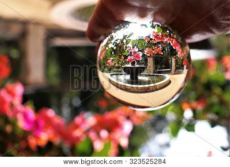 A Lens Ball Image Of A Lovely Garden And Fountain Area