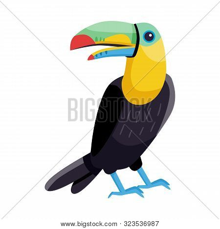 Vector Illustration Of Toucan And Bird Logo. Set Of Toucan And Jungle Vector Icon For Stock.