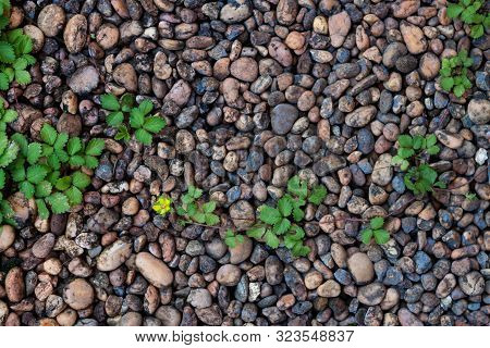 Pebble Stones And Bricks Abstract Background, Stock Photo