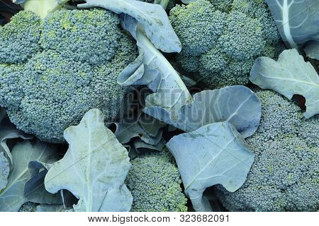 Cauliflower Filling Texture Backdrop. Fresh Vegetable Background.