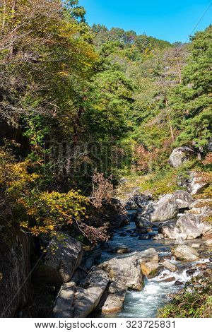 Mitake Shosenkyo Gorge Autumn Foliage Scenery View In Sunny Day. Beauty Landscapes Of Magnificent Fa