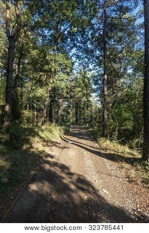 Natural Environment Of The Town Of Ripoll In Girona