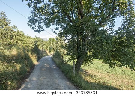 Natural Environment Of The Town Of Ripoll In Girona