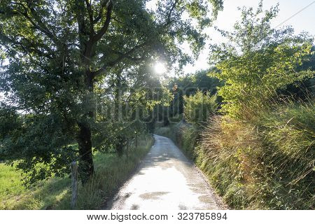 Natural Environment Of The Town Of Ripoll In Girona