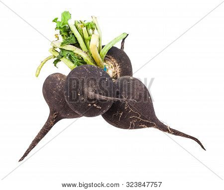 Bunch Of Little Black Radish Taproots With Green Foliage Isolated On White Background