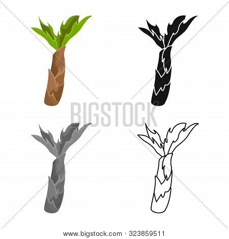 Vector Design Of Palm And Forest Symbol. Set Of Palm And Green Vector Icon For Stock.