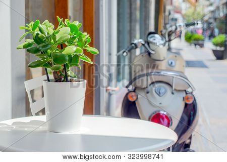 White Round Table With Chair Standing Outdoor Near Cafe, Bar, Restaurant. Simple Table Decor With Gr