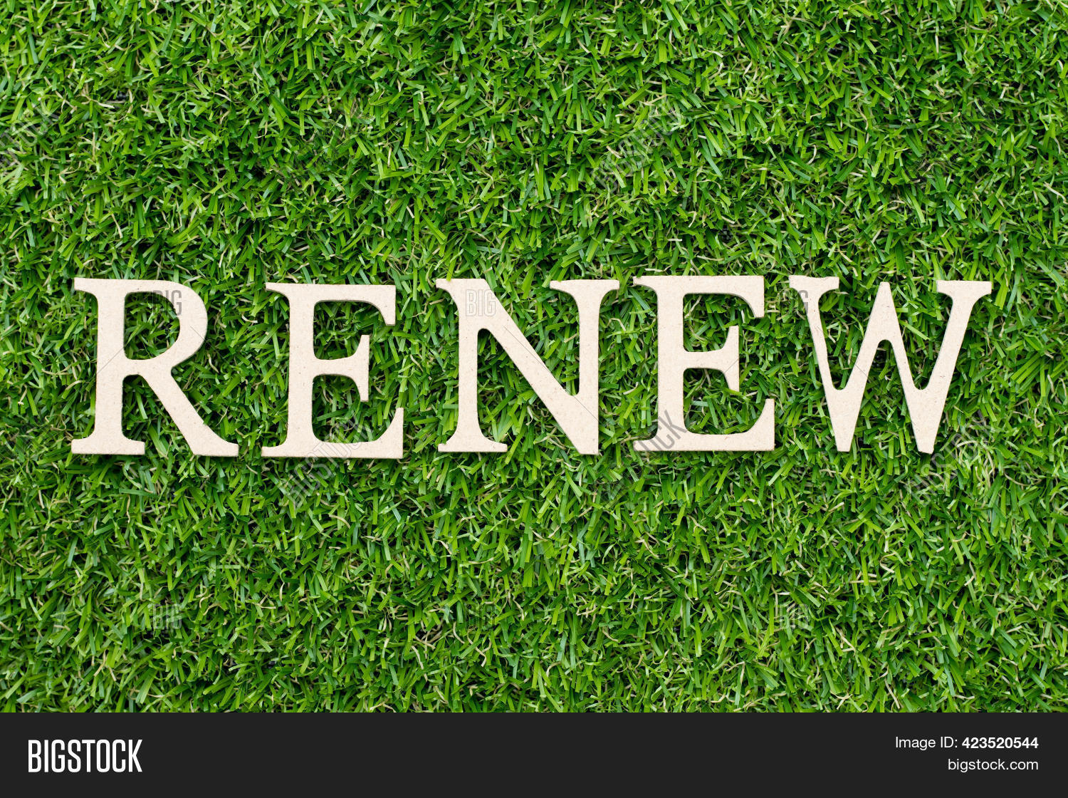 Wood Alphabet Letter Image & Photo (Free Trial) Bigstock