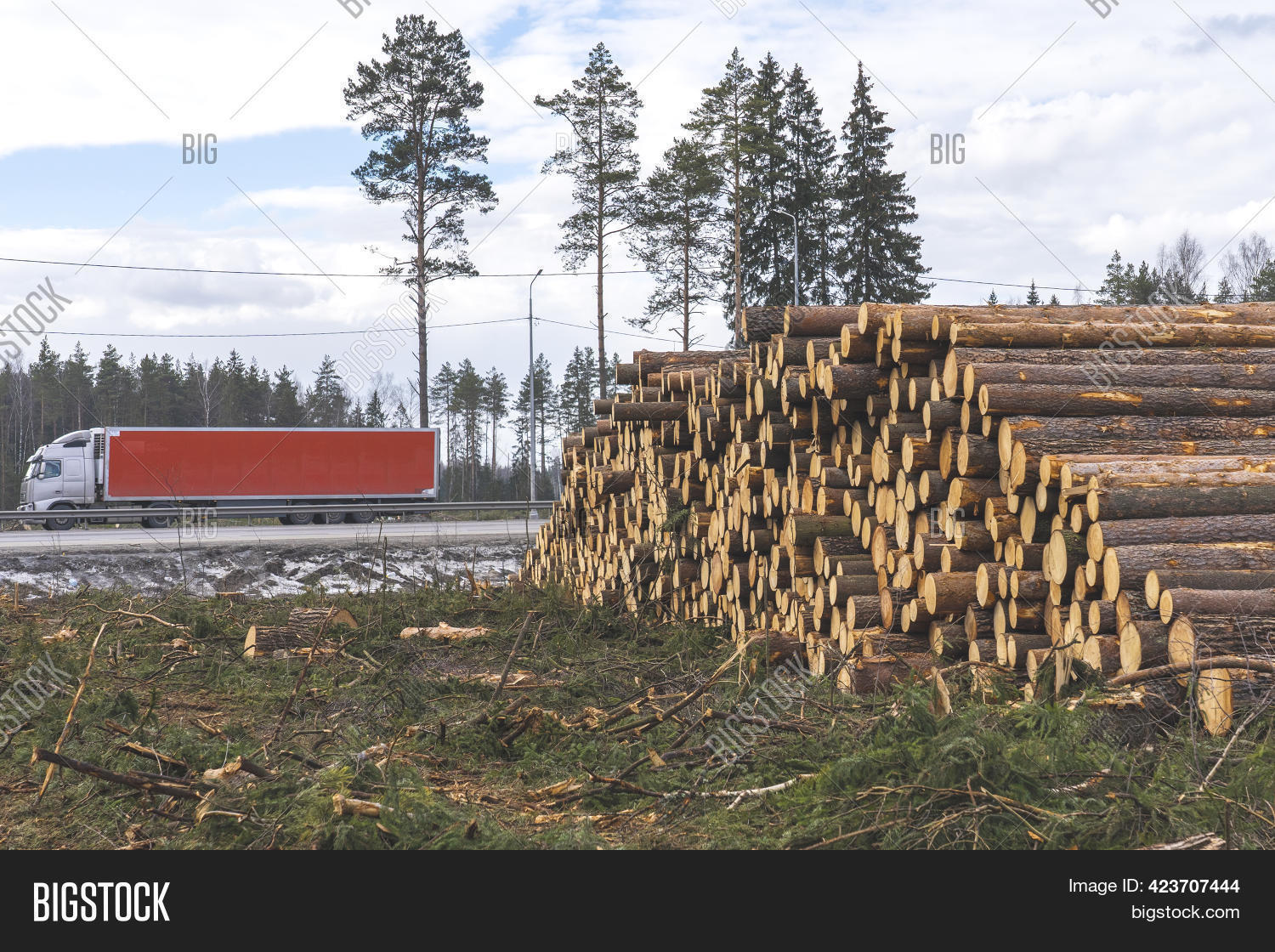 Deforestation Roads, Image & Photo (Free Trial) | Bigstock