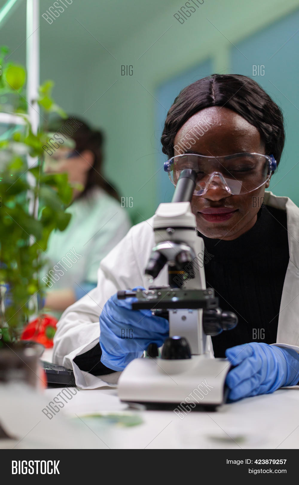 Biologist Researcher Image & Photo (Free Trial) | Bigstock