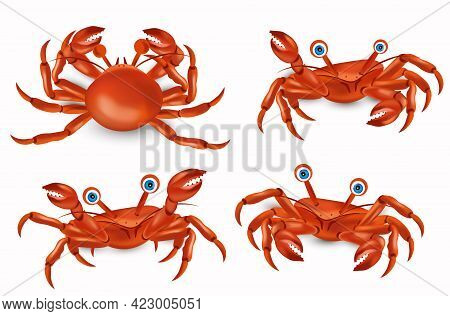 Red Cute Crab With Big Claws Four Different Pose. Crab Cartoon Character. Sea Creature Icon. Vector 