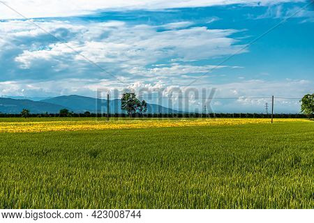 At The Foot Of The Monviso, Along The Banks Of The Po River, Agriculture Is The Main Source Of Incom