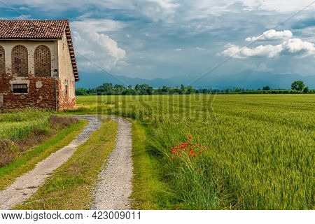 At The Foot Of The Monviso, Along The Banks Of The Po River, Agriculture Is The Main Source Of Incom