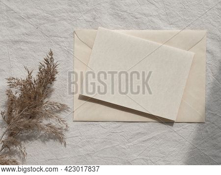 Minumal Mockup, Off White Card And Pampas Grass. Simple Minimal Flat Lay On Ivory Textile With Dry B