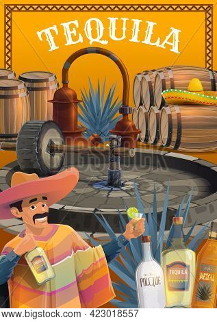 Mexican Tequila Drink Production. Cartoon Vector Man In Sombrero And Poncho, Drinking Tequila With L