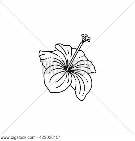 Hibiscus Flower In A Trendy Minimalist Liner Style. Vector Tropical Flower Illustration