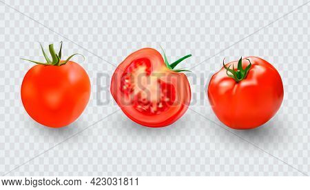 Tomato Set. Red Tomato Collection. Photo-realistic Vector Tomatoes On Transparent Background.